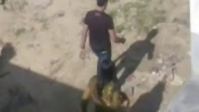 Gato alys coños bonitos y peludos