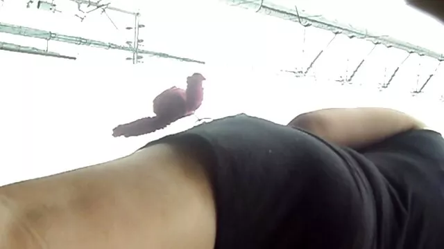 Nena morena es una gran cochos peludos xxx ventosa