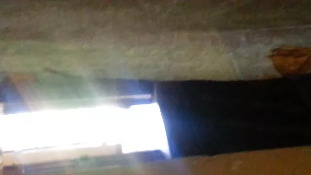 Perras coños humedos xxx calientes en lencería comparten un trozo en la cama